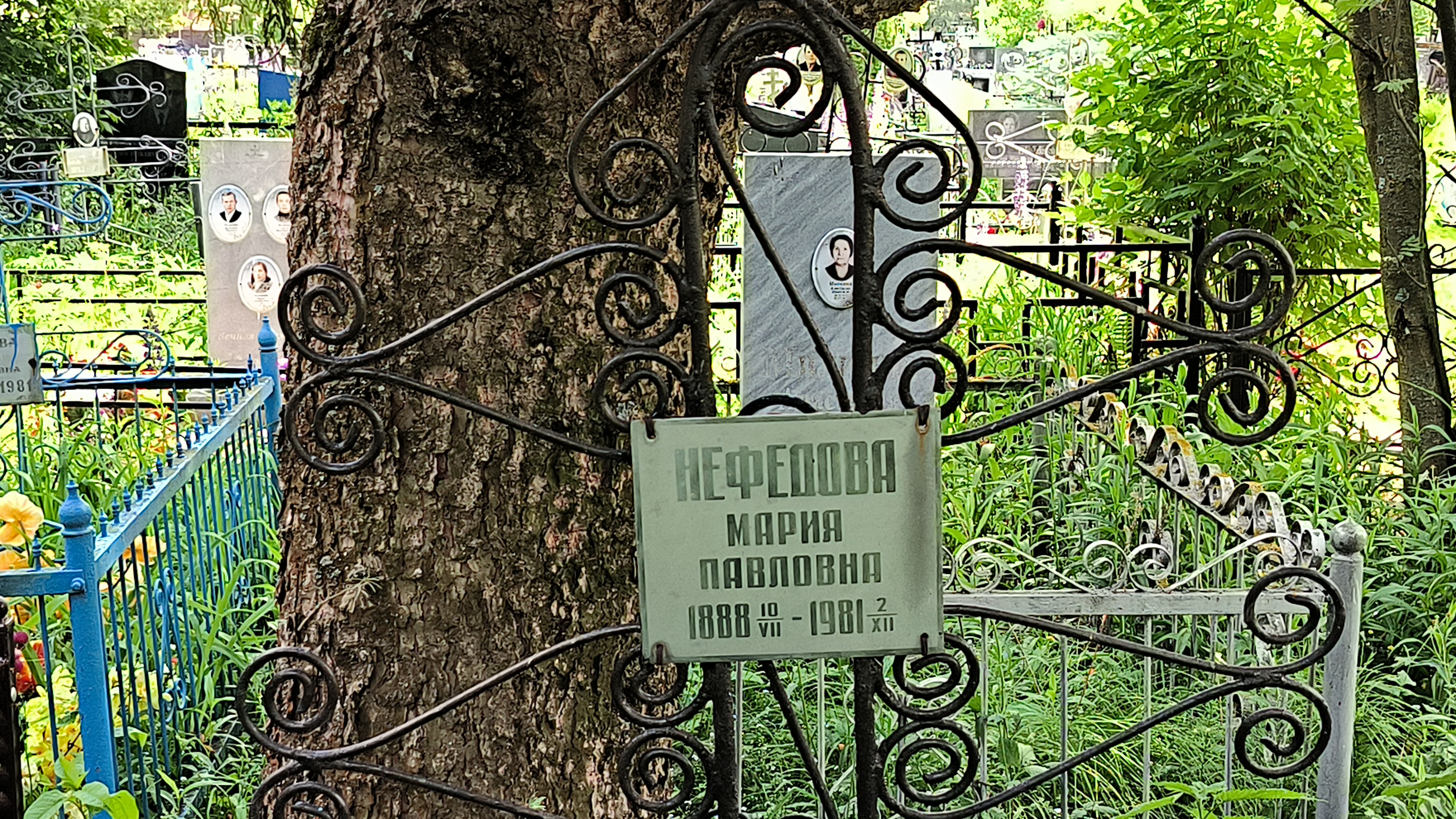 Нефедова Мария Павловна