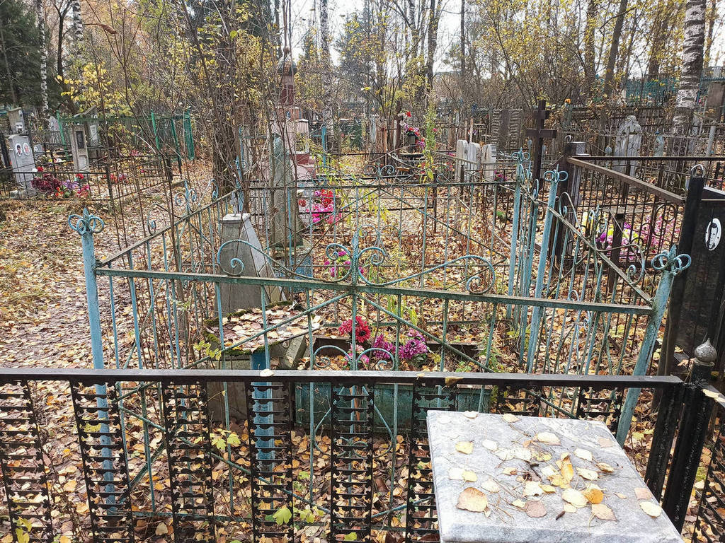Толчина Александра Яковлевна