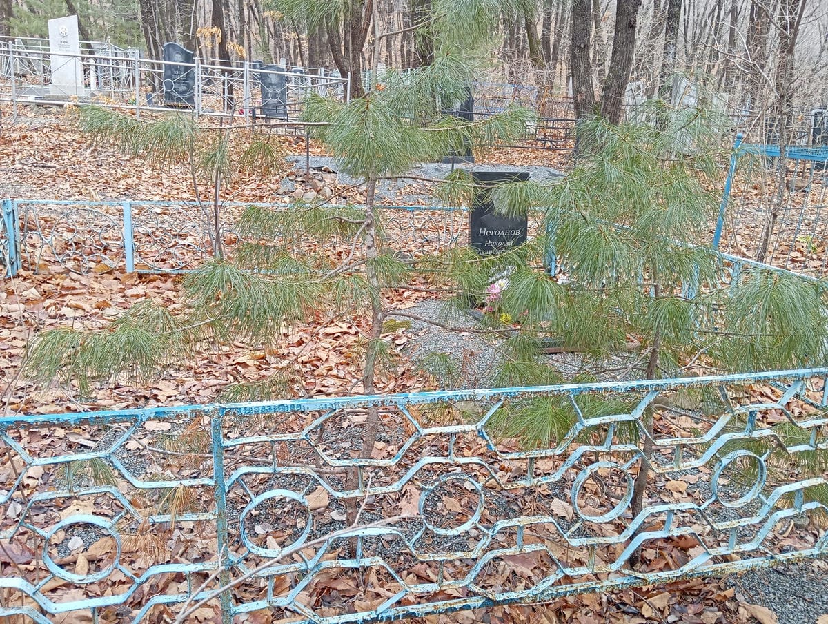 Негоднов Николай Лаврентьевич