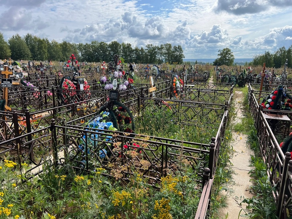Воронов Вячеслав Федорович