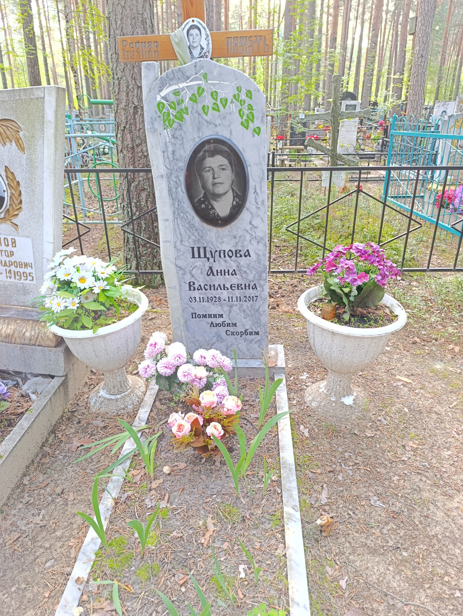 Щупова Анна Васильевна