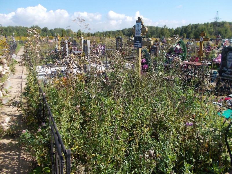 Сачков Александр Викторович
