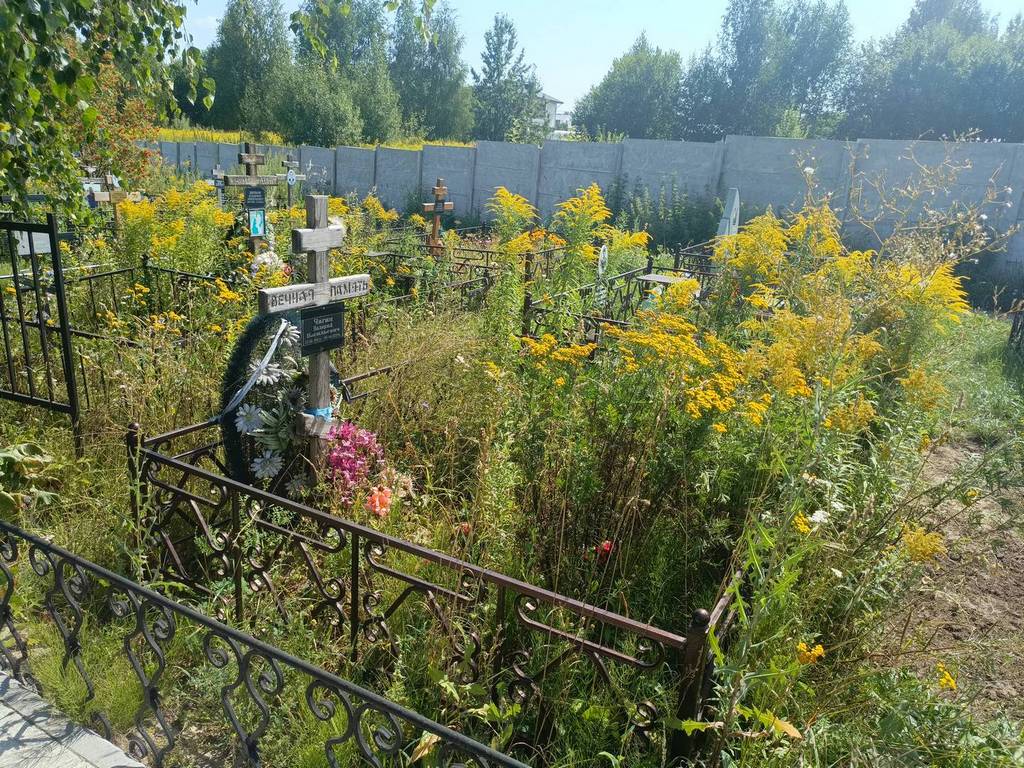 Чагин Валерий Васильевич