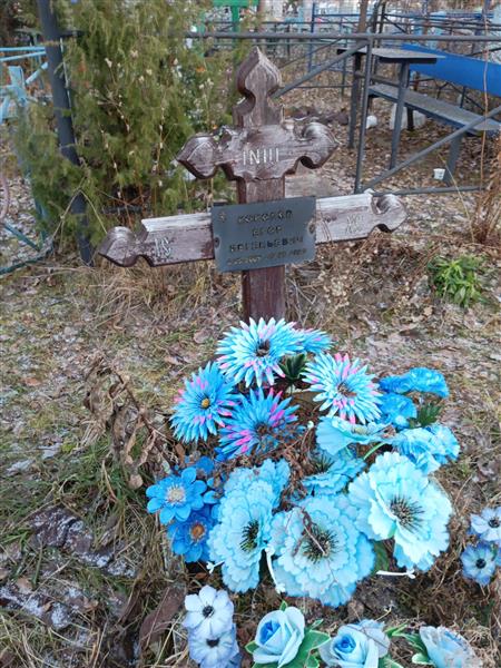 Королёв Егор Евгеньевич