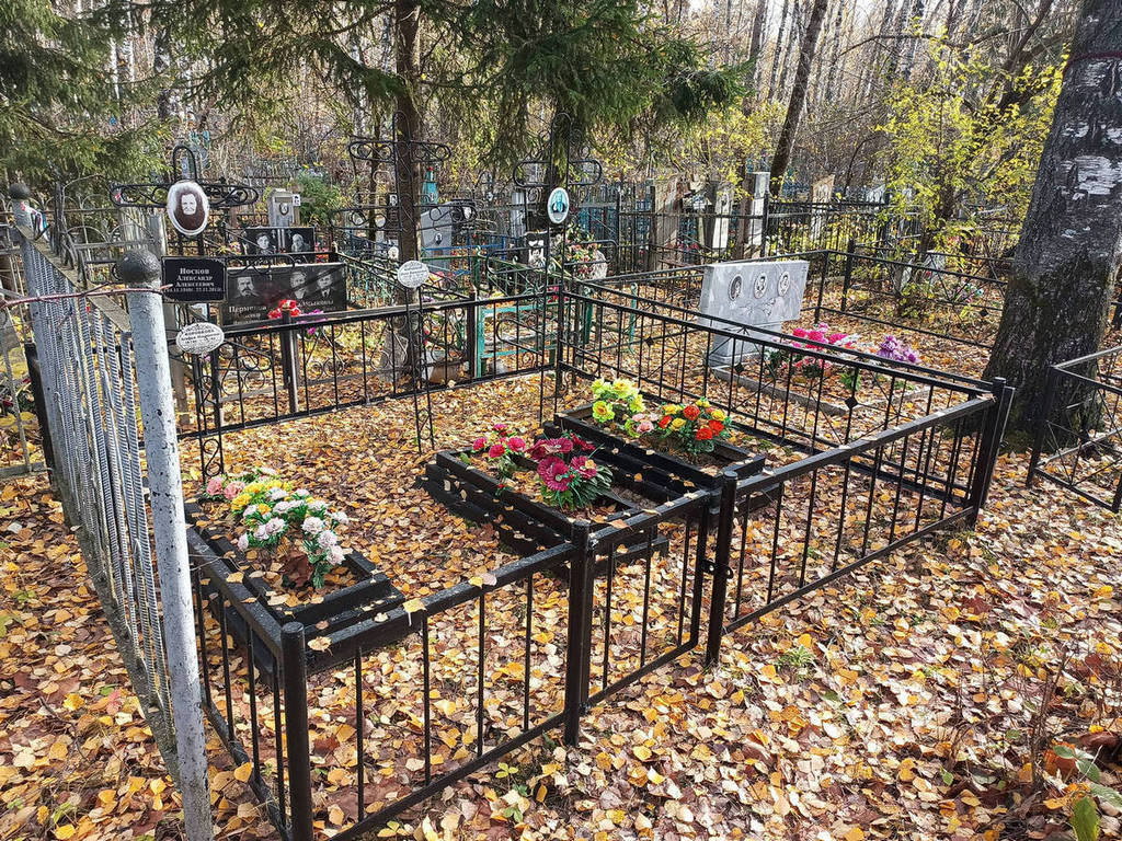 Носкова Елена Васильевна