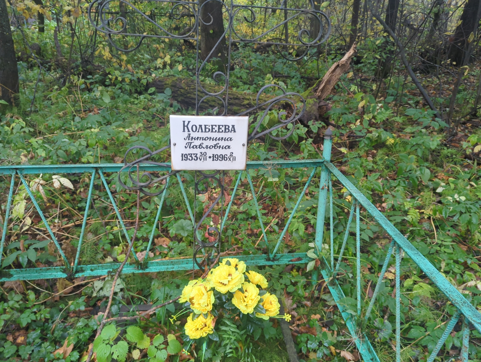 Коблеева Антонина Павловна