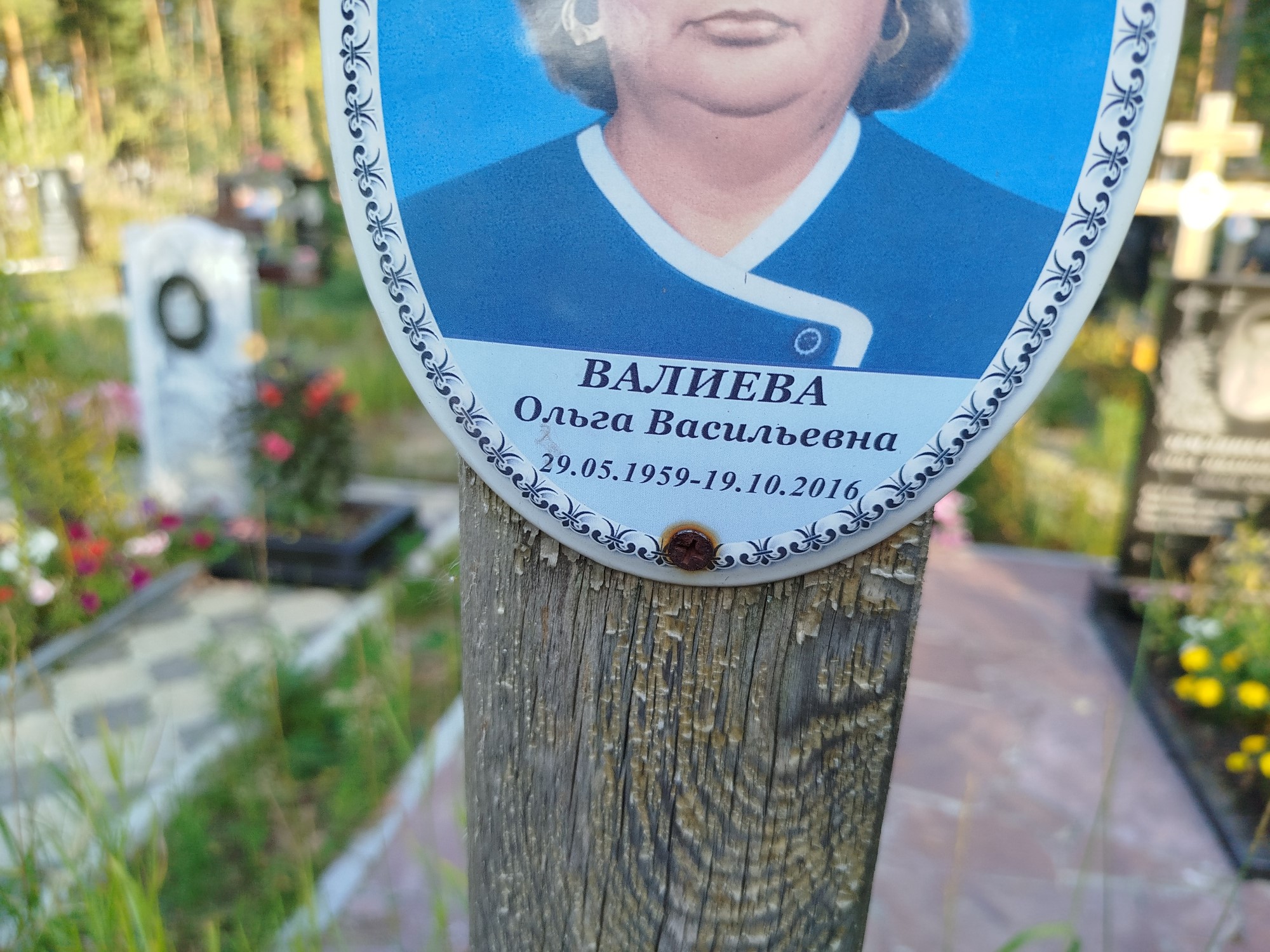 Валиева Ольга Васильевна