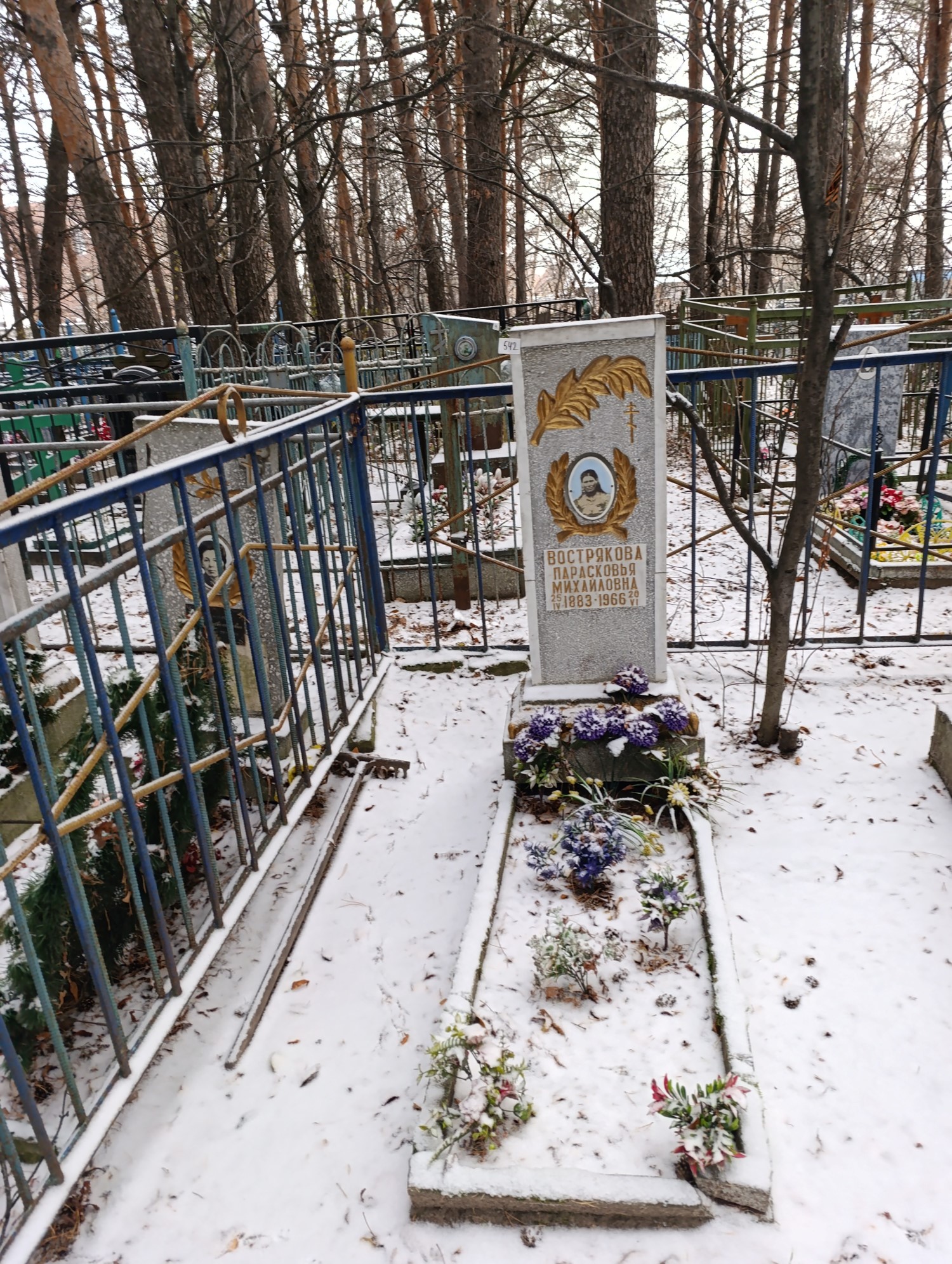 Вострякова Прасковья Михайловна
