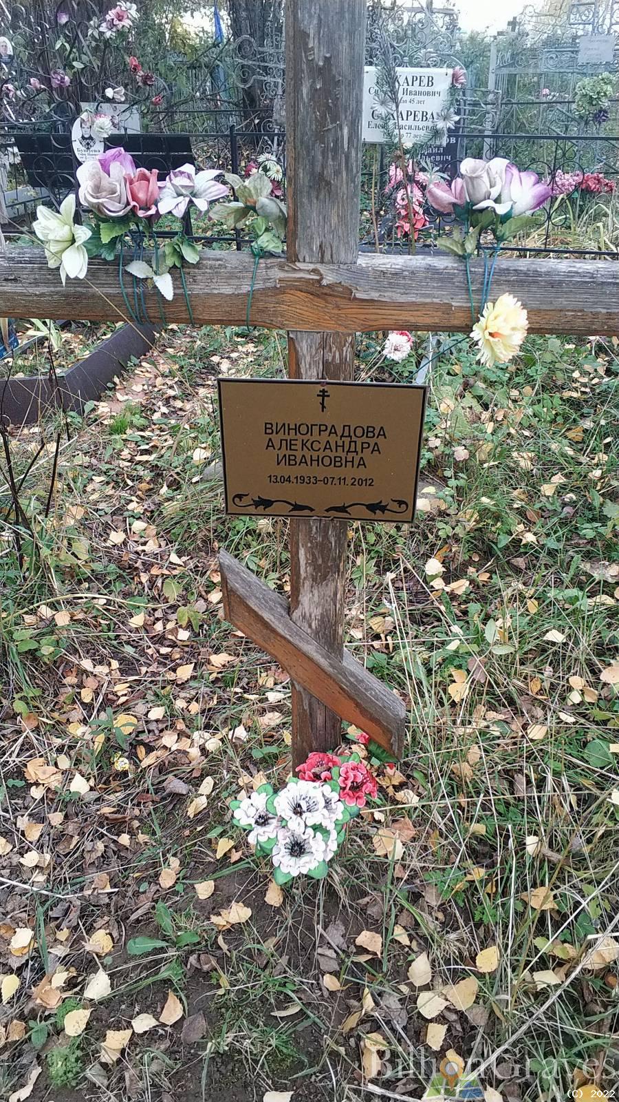 Виноградова Александра Ивановна