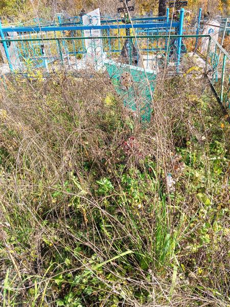 Некрасова Светлана Сергеевна