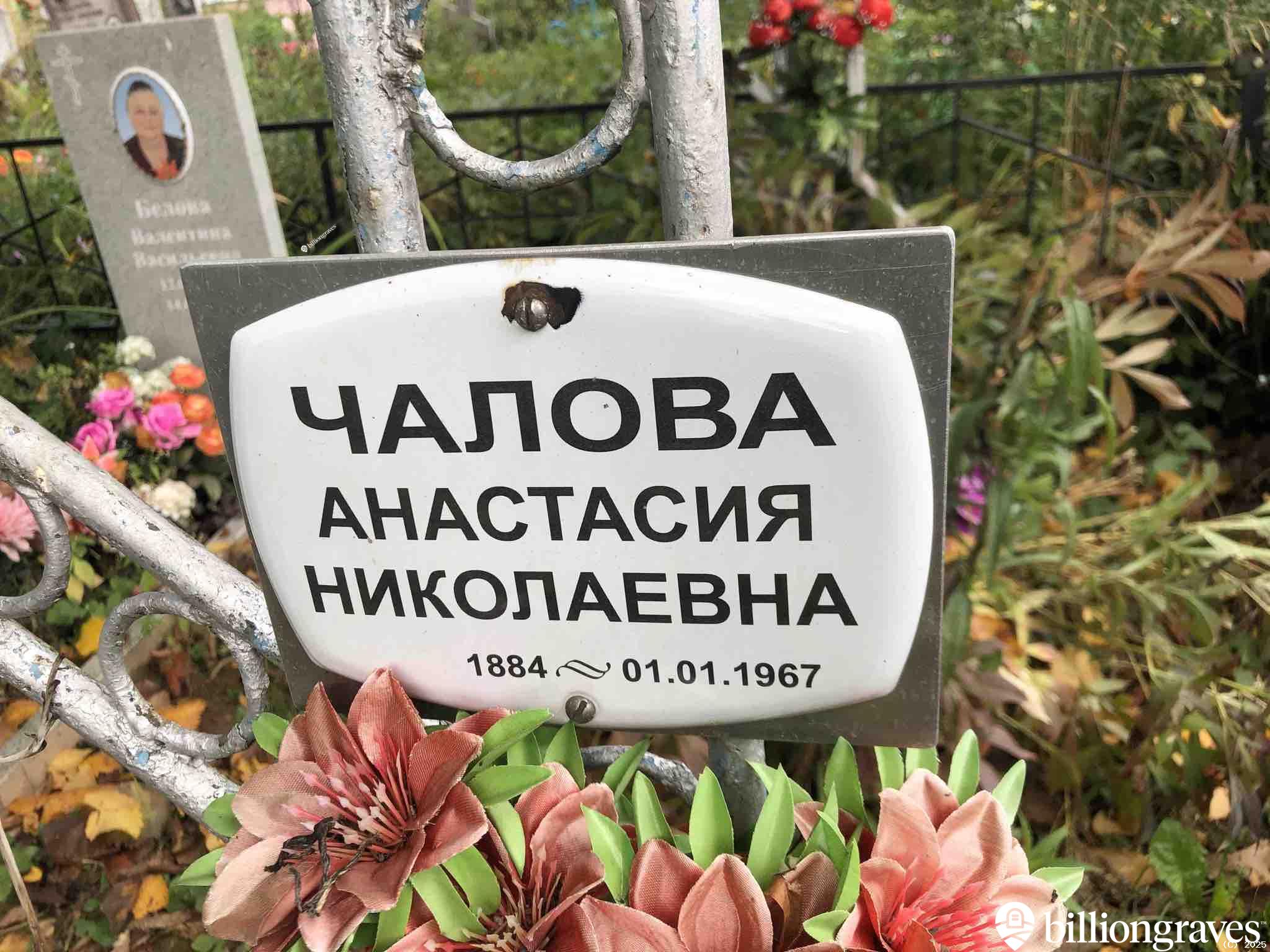 Чалова Анастасия Николаевна