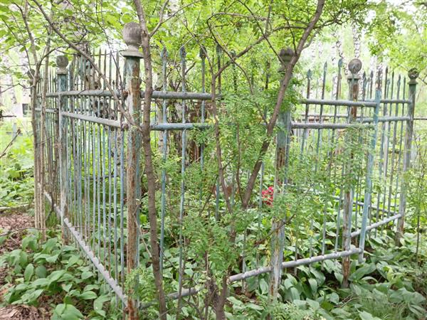 Боровков Николай Никонорович