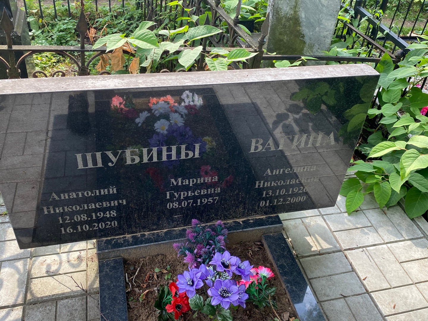 Шубин