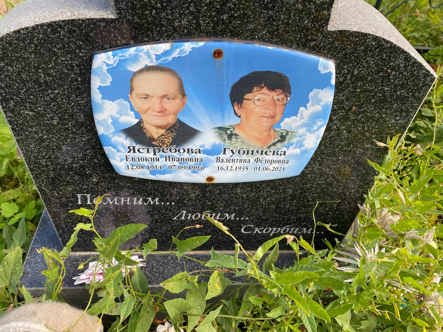 Ястребова