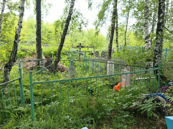 Кирпичева Юлия Николаевна