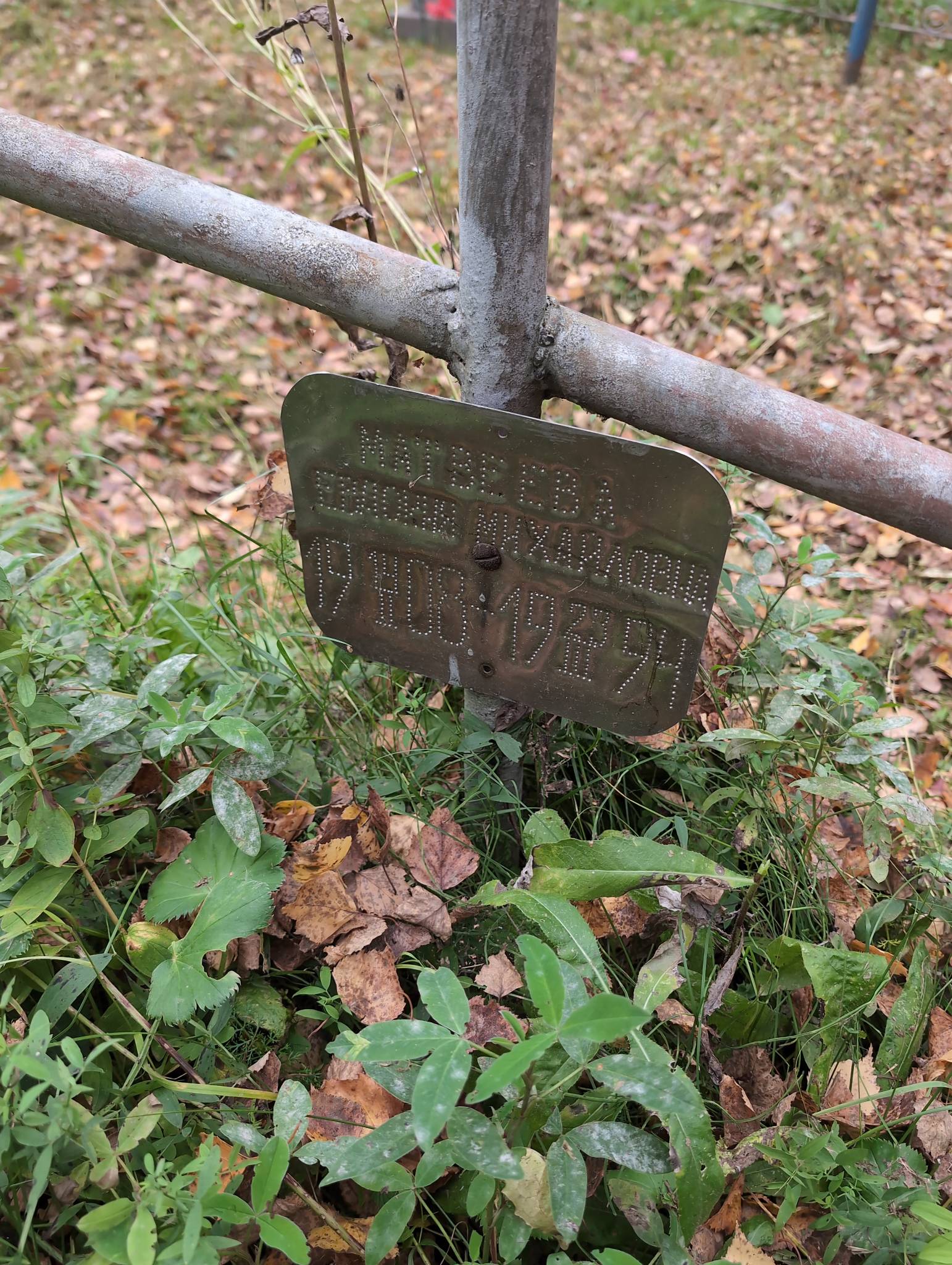 Матвеева Евдокия Михайловна