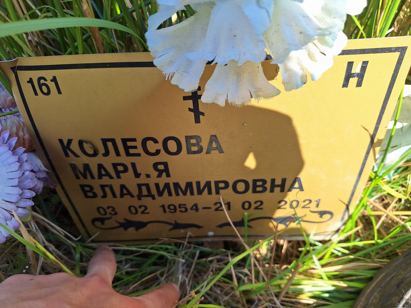 Колесова