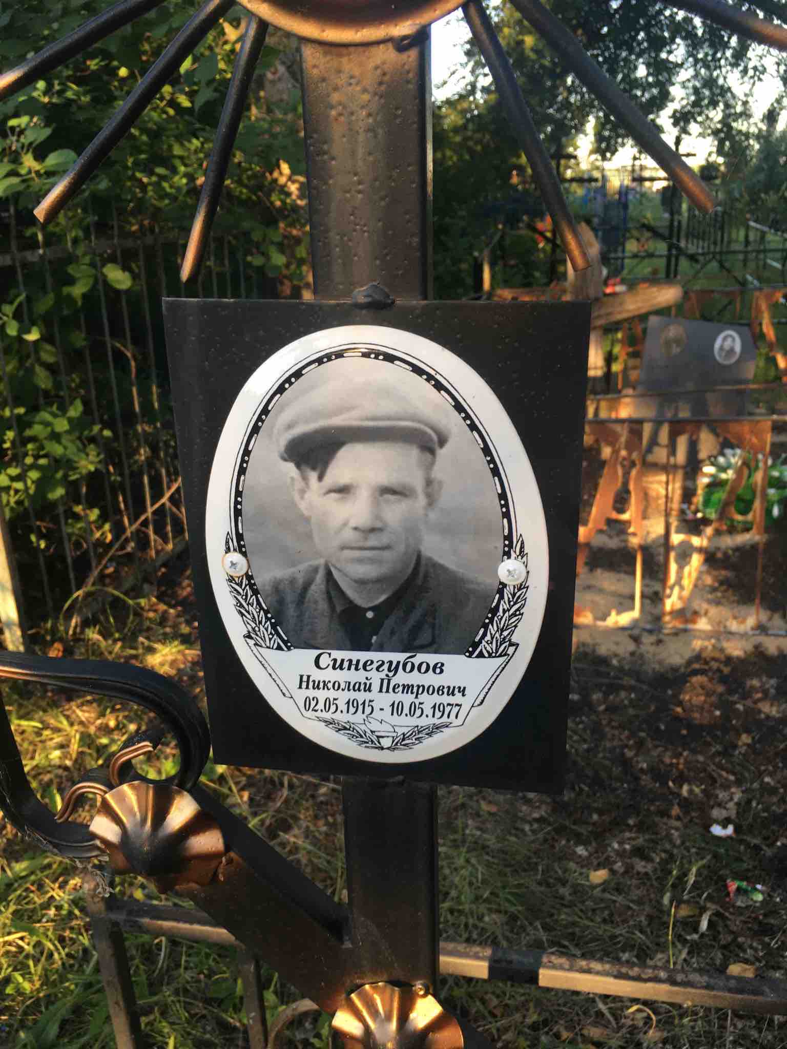 Синегубов Николай Петрович