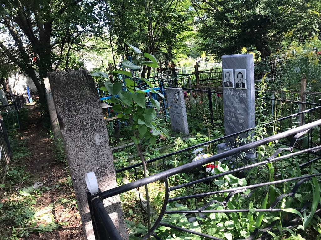 Метлин Альберт Николаевич