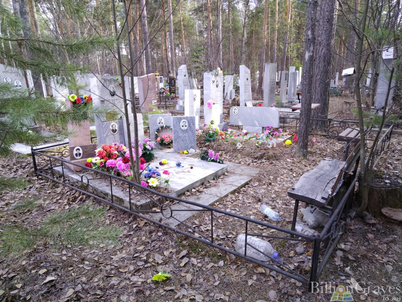 Зайцева - Цикарева Ирина Владиславовна