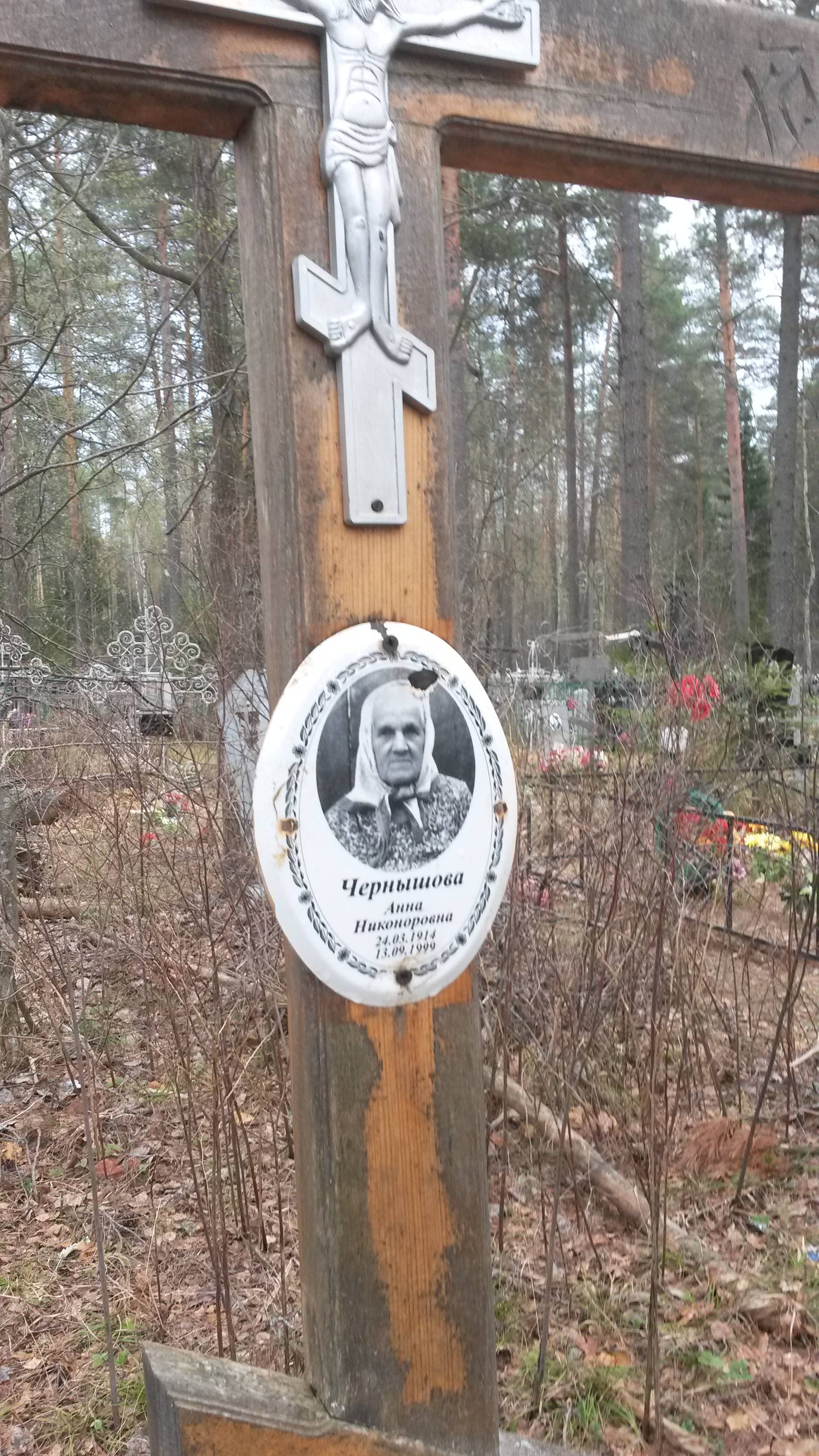 Чернышова Анна Николаевна