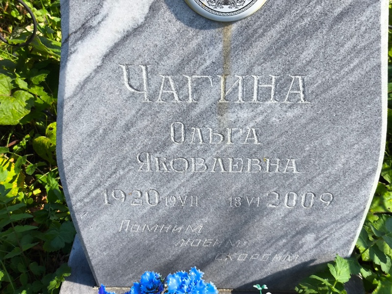 Чагина
