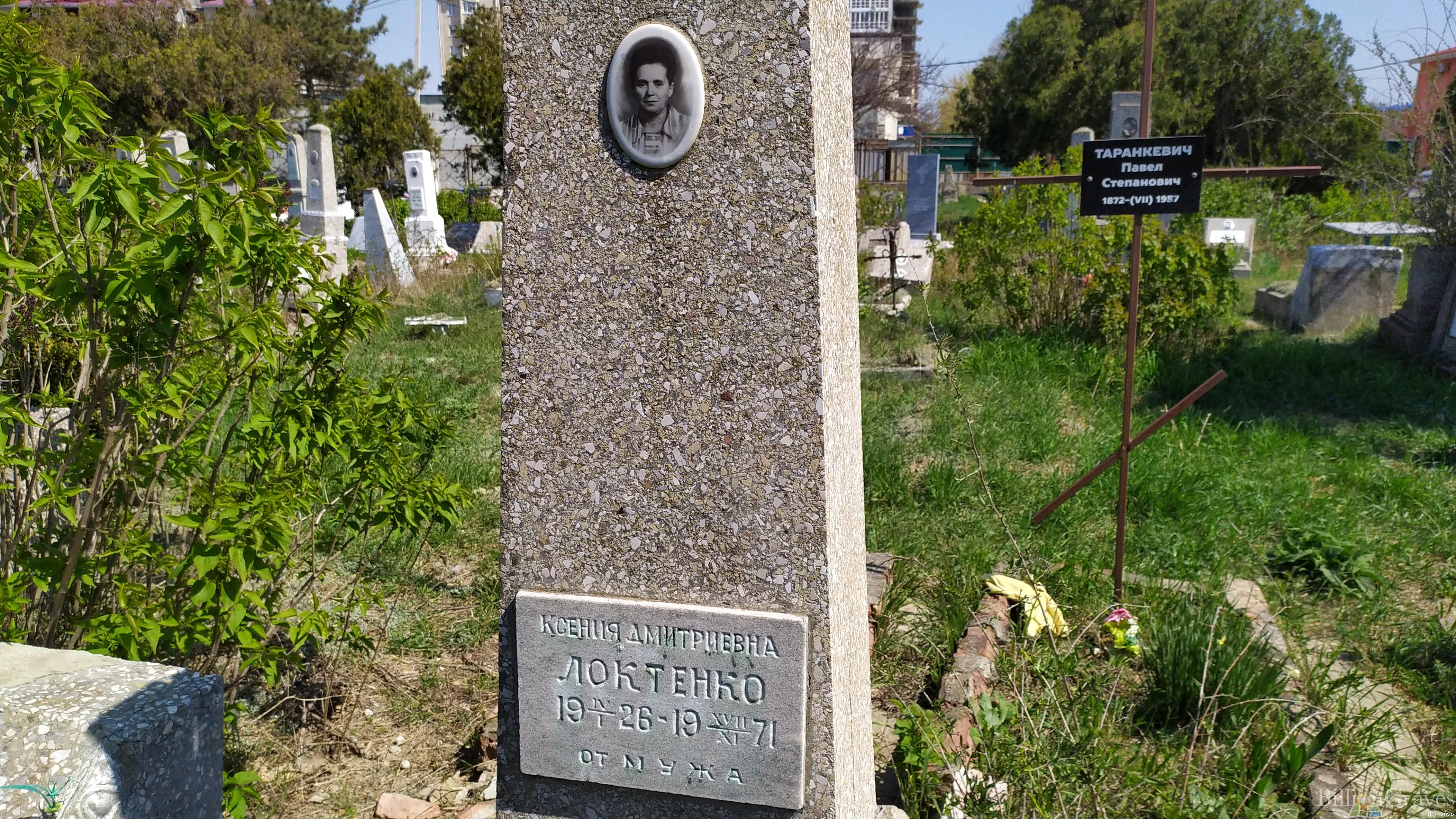 Локтенко Ксения Дмитриевна