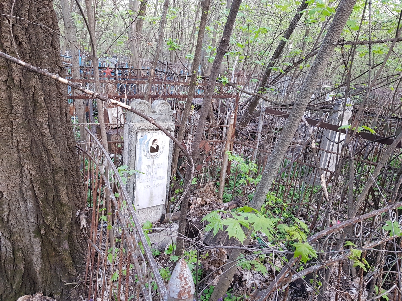 Королёва Ольга Александровна