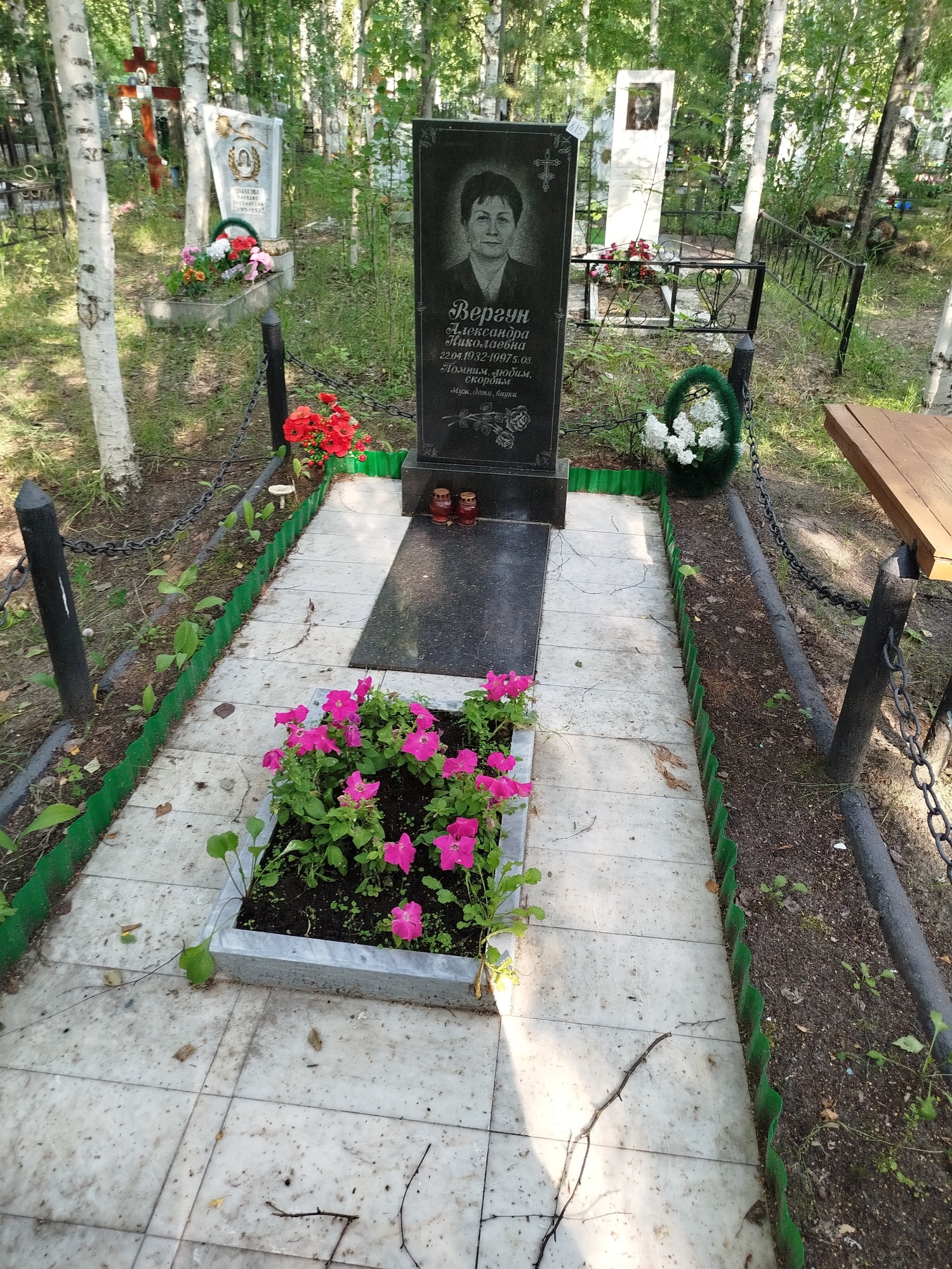 Верчун Александра Николаевна
