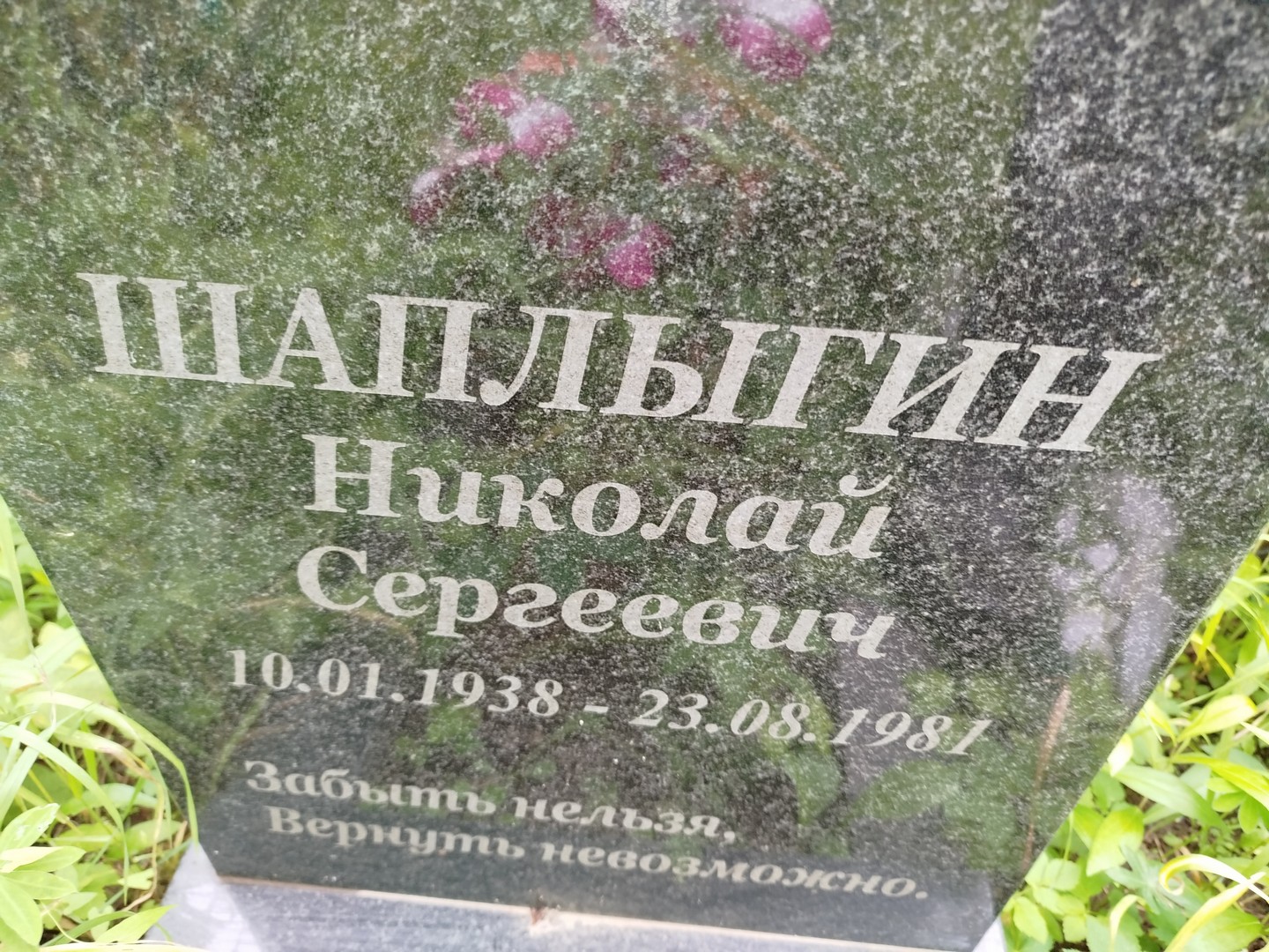 Шаплыгин