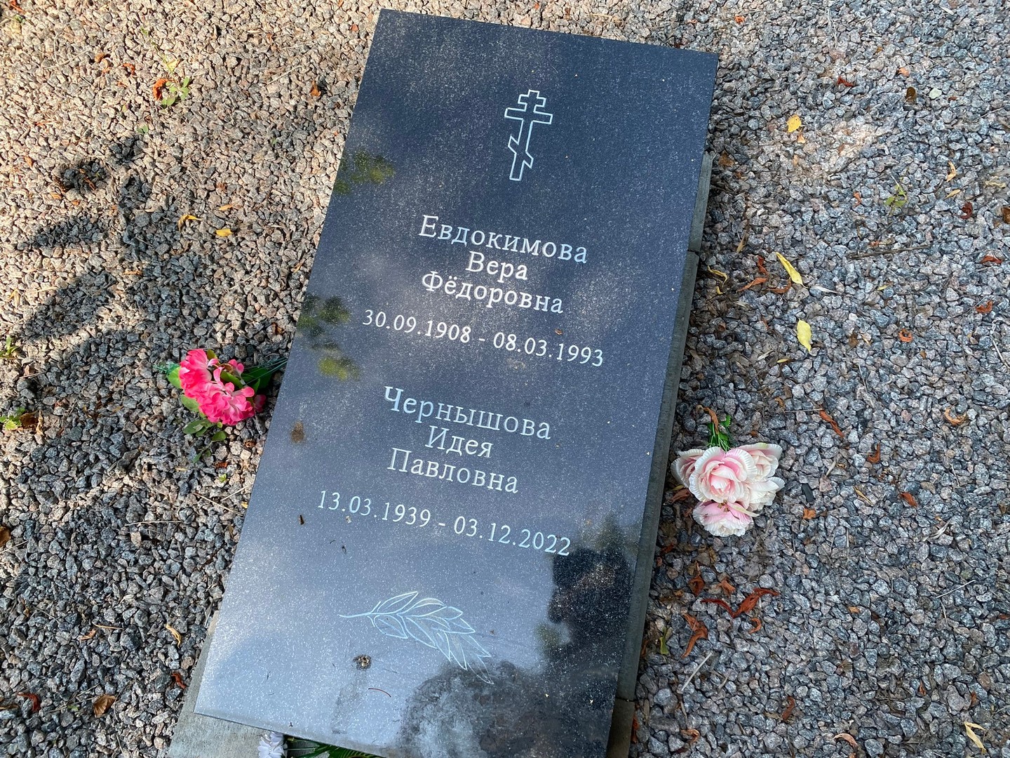 Евдокимова
