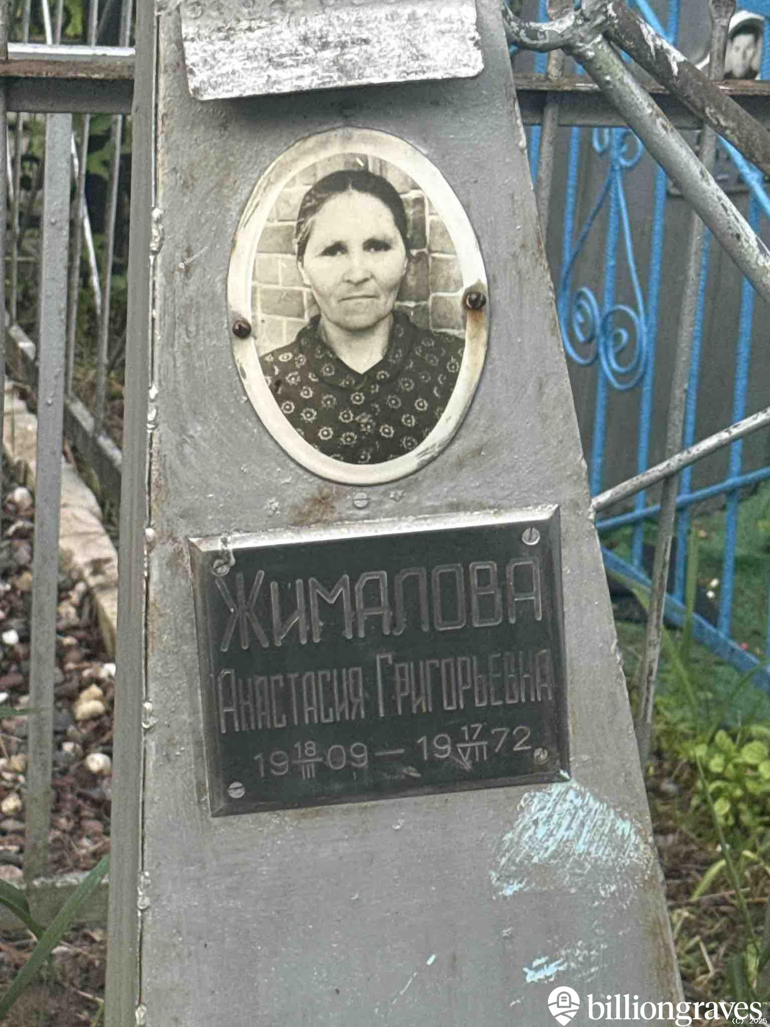 Жималова Анастасия Григорьевна