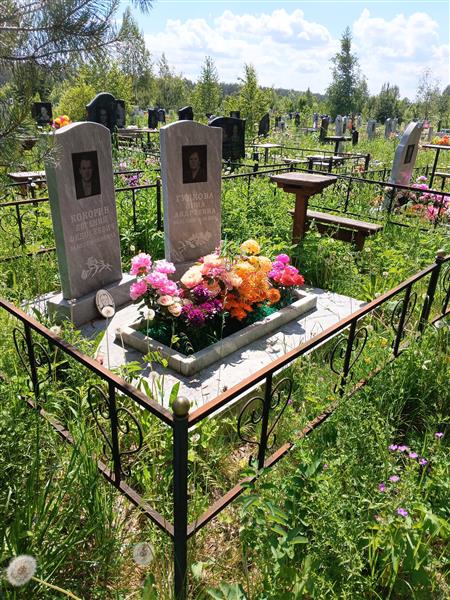 Гудкова Нина Андреевна