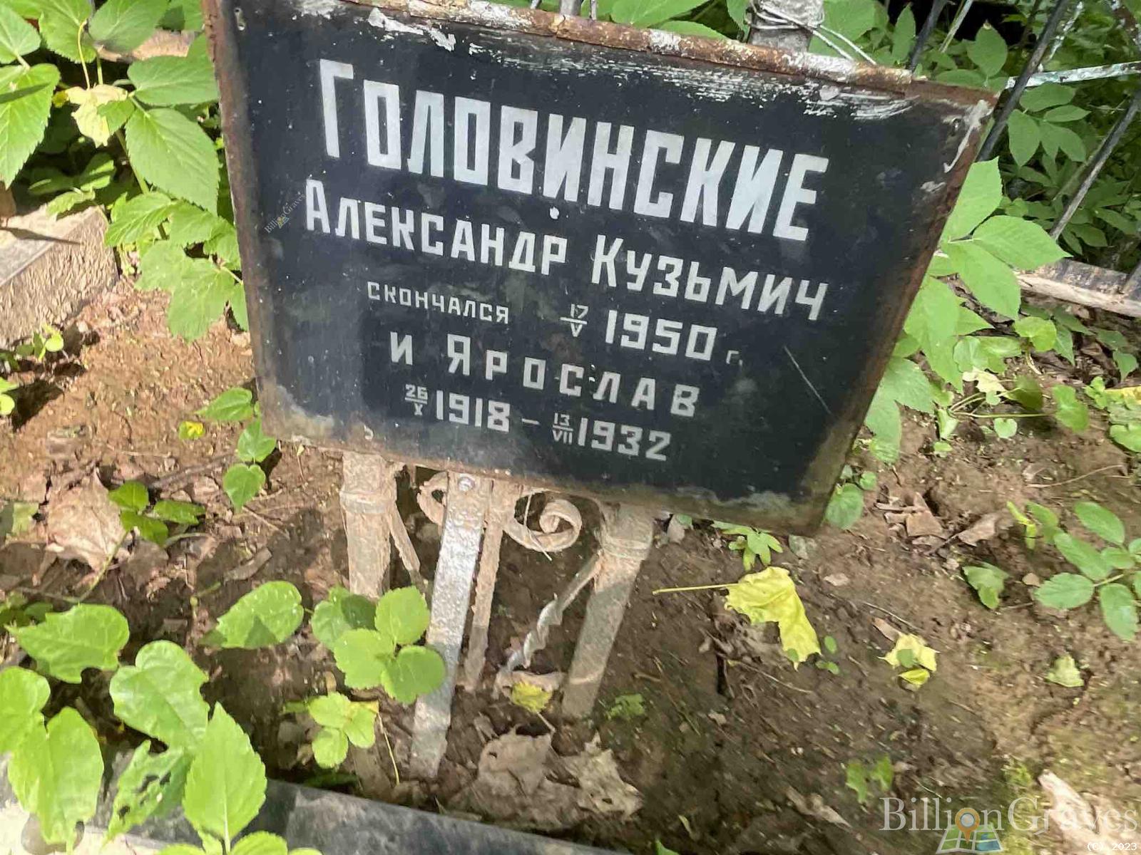 Головинский Александр Кузьмич