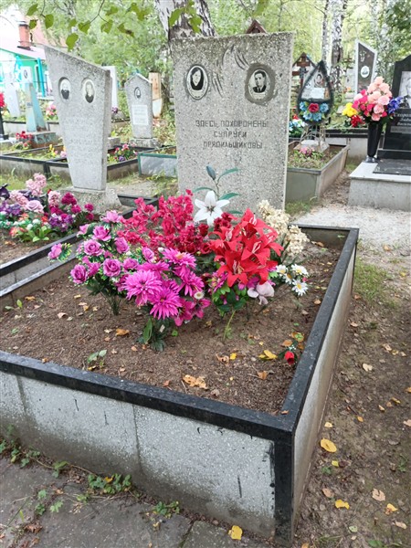 Прядильщикова Елизавета Степановна