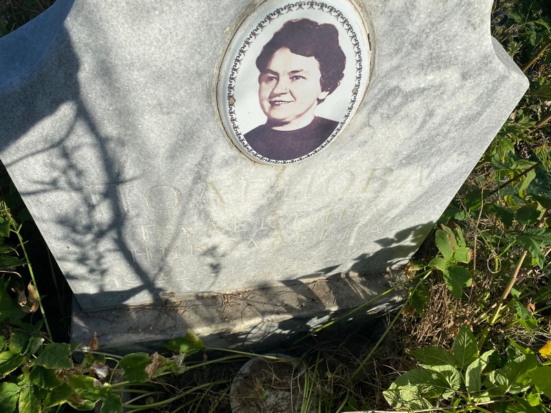 Поленова