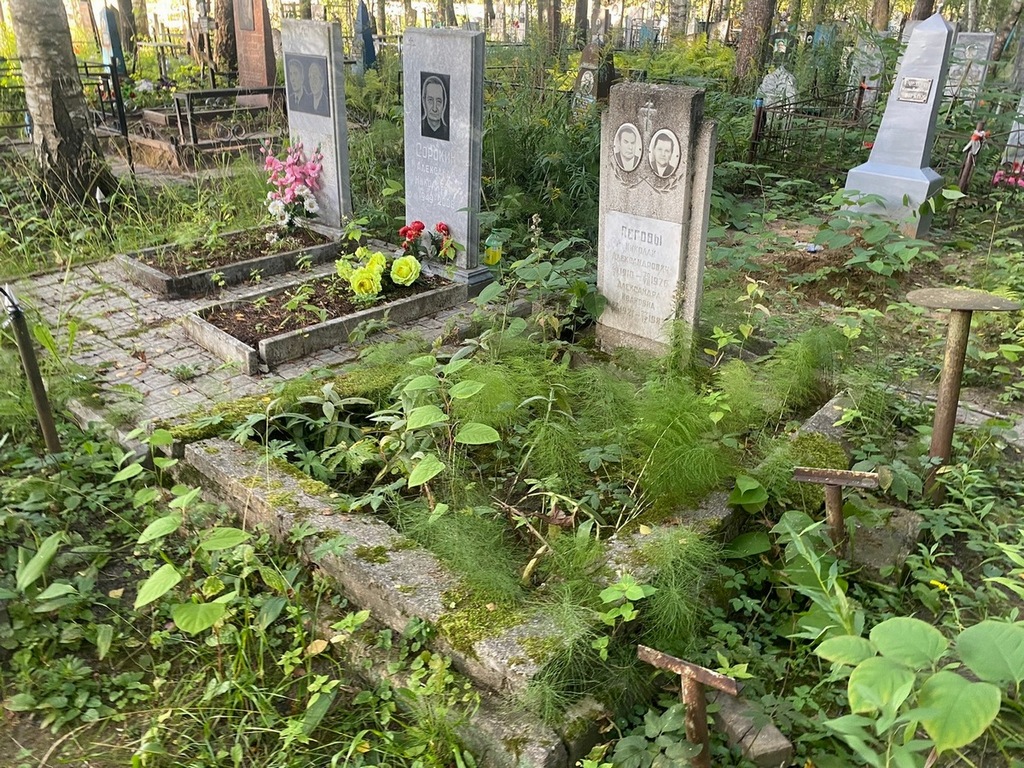 Пегов Николай Александрович