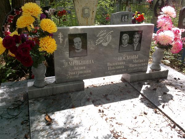Деменьшина Лидия Дмитриевна