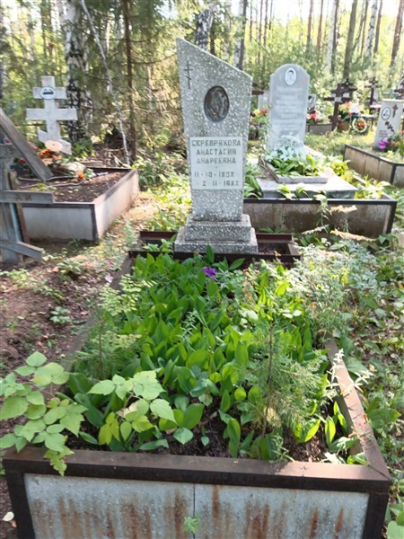 Серебрякова Анастасия Андреевна