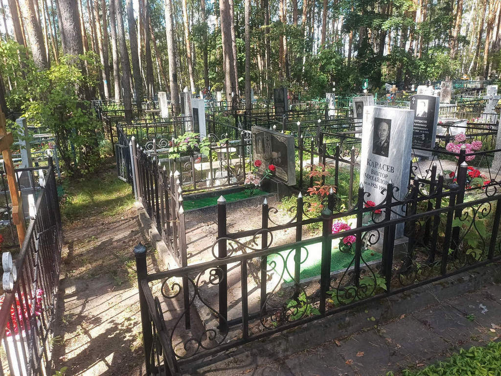 Карасева Анна Васильевна