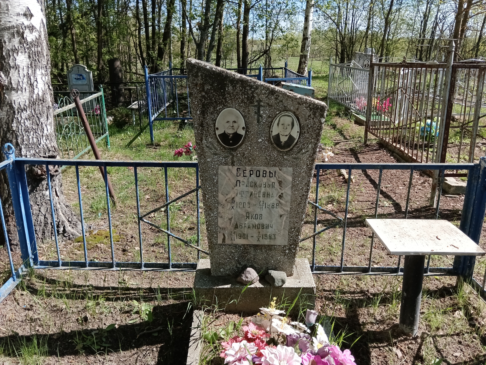 Серов Яков Абрамович