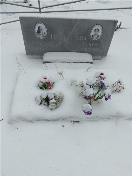 Плетухина Анастасия Алексеевна