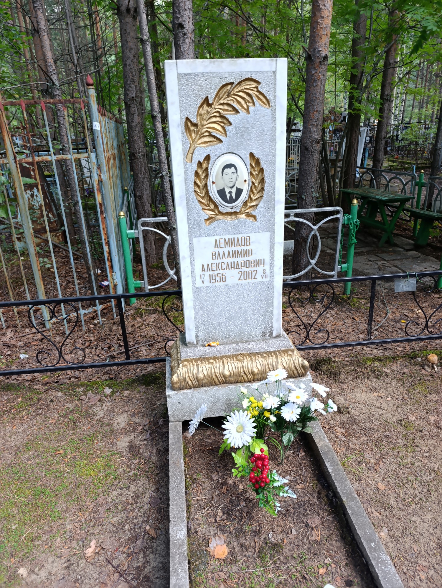 Демидов Владимир Александрович