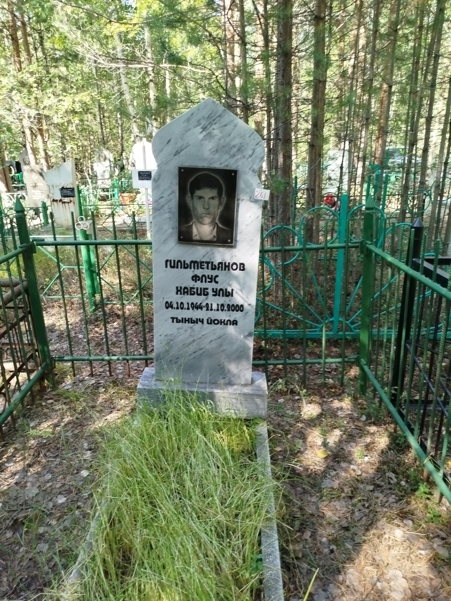 Гильметьянов Флус Хабибулы