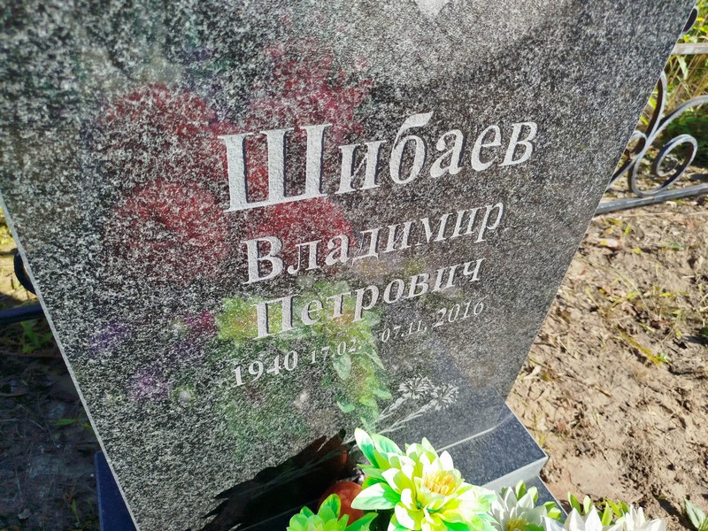 Шибаев