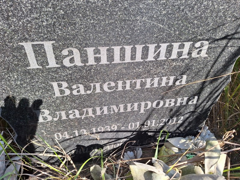 Паншина