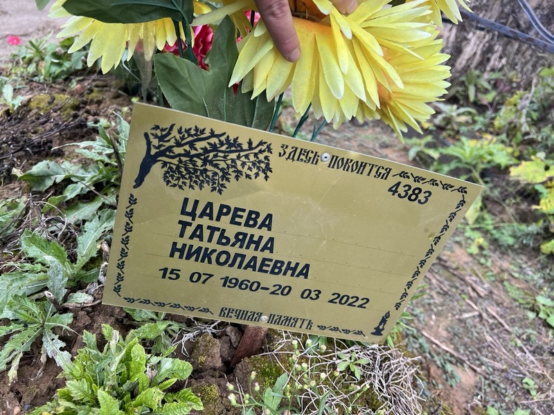 Царева