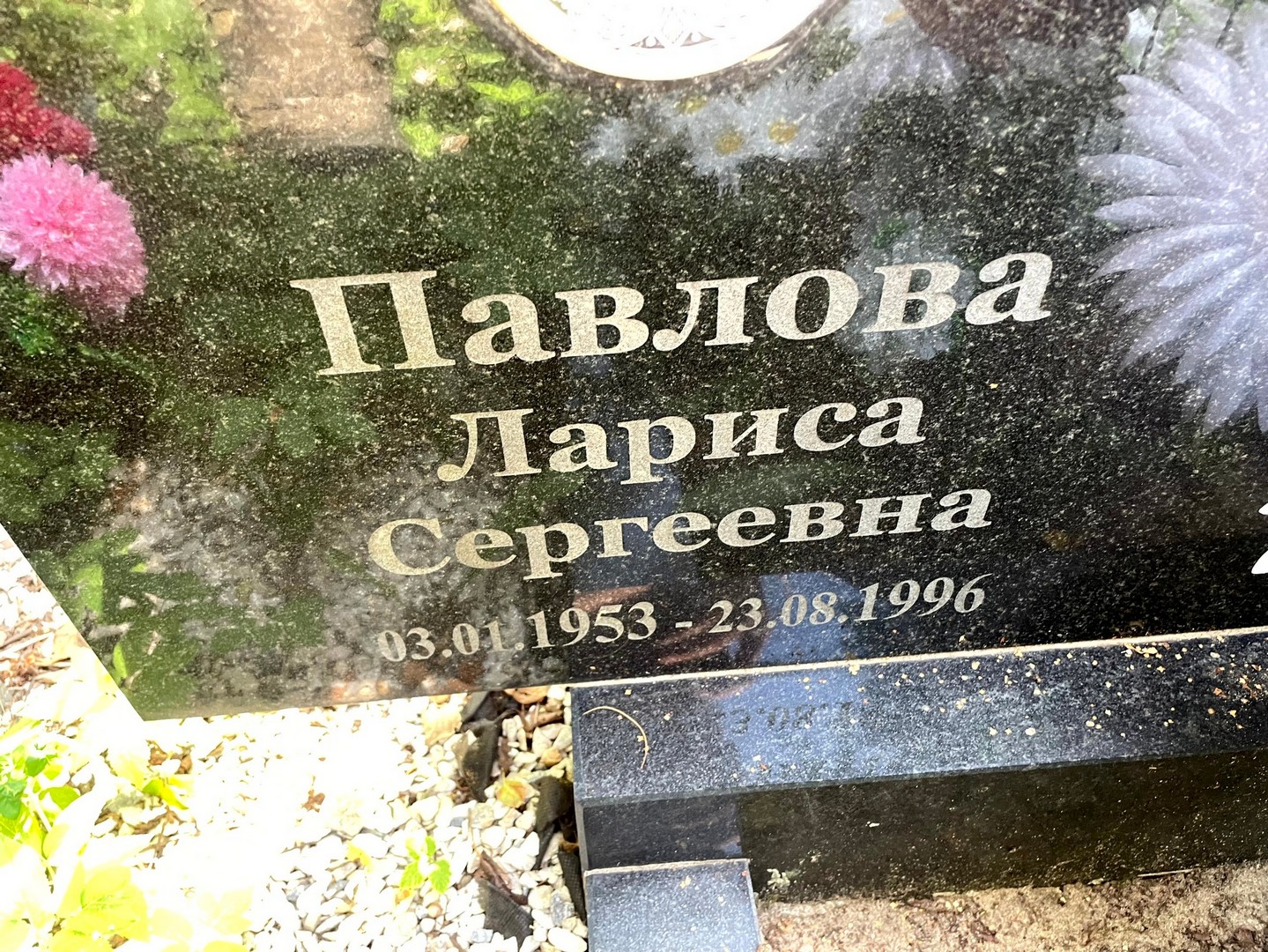 Павлова