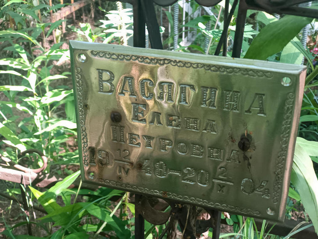 Васягина Елена Петровна