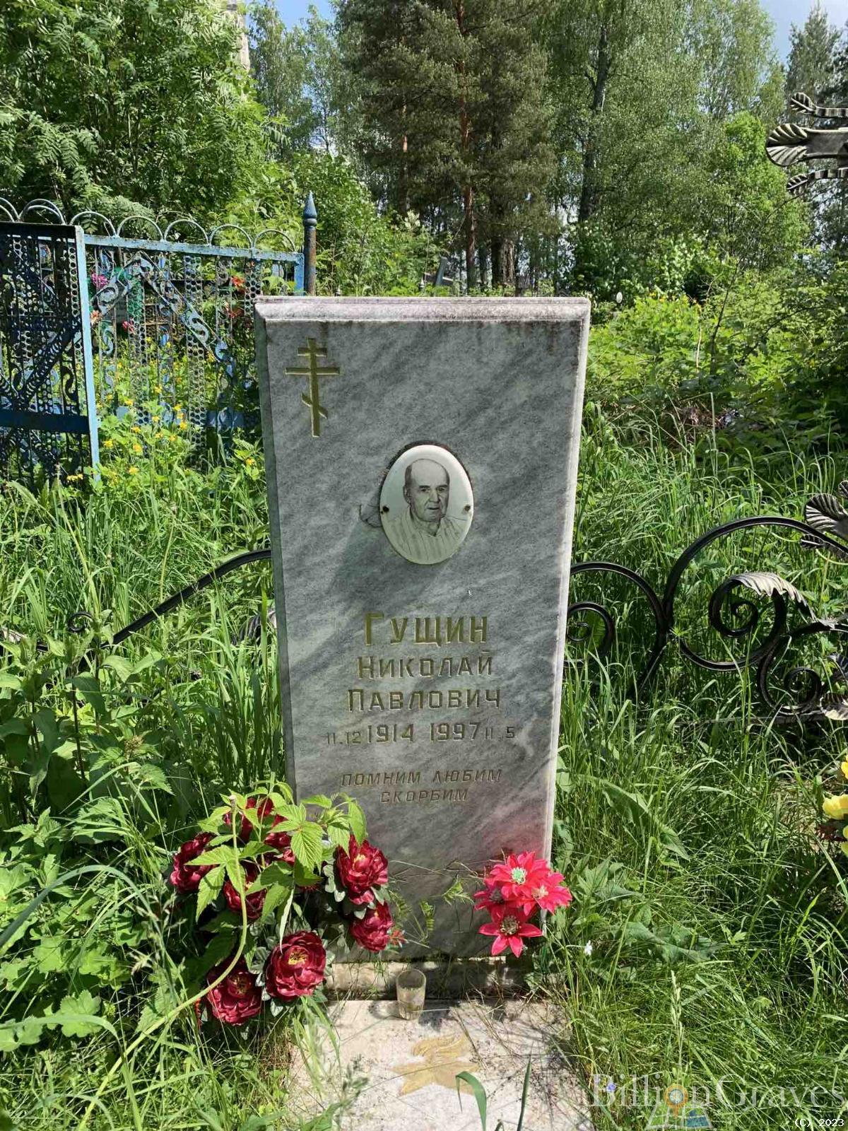 Гущин Николай Павлович
